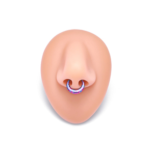 Pendientes <span class=keywords><strong>de</strong></span> <span class=keywords><strong>Titanio</strong></span> G23 16G con Segmento Clicker para <span class=keywords><strong>Piercing</strong></span> <span class=keywords><strong>de</strong></span> Nariz, Anillos Anodizados <span class=keywords><strong>de</strong></span> Colores, 8mm 10mm, Joyería para Piercings Corporales y <span class=keywords><strong>de</strong></span> Oreja - Product Image 3