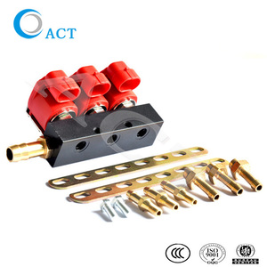 <span class=keywords><strong>Injecteur</strong></span> Common Rail GPL/GNC 2 ohms 3 cylindres pour kit de conversion bi-carburant automobile - Product Image 1