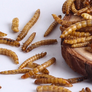 יבש Mealworm ציפור מזון עוף מזון בעלי החיים מזון - Product Image 4