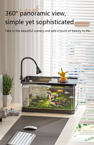 Nieuw transparant plastic bureau-<span class=keywords><strong>aquarium</strong></span> voor luie mensen, klein tot middelgroot ecologisch landschap <span class=keywords><strong>aquarium</strong></span> voor de woonkamer - Product Image 4