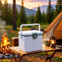 Glacière de camping extérieure avec affichage de température, logo personnalisé OEM, en plastique rigide, petite glacière 5L