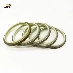 Manufacturer JR Supplier Various Sizes Of Iron Shell Dust - Proof Oil Seals/DKB/DKBI/AF/DLI/GA OIL Seal