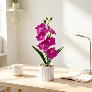Nouvelle Plante Artificielle Phalaenopsis à 6 Fleurs en Pot, Ornement pour la Décoration de la Maison, du Salon et du Bureau, Verdure en Plastique - Product Image 3