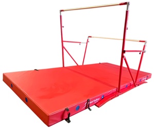 Barres asymétriques de gymnastique Aofan Factory Direct, acier inoxydable, 240 cm de long, prix bas - Product Image 1