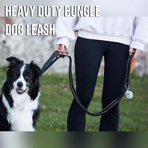 مبيع بالجملة مخصص نايلون عاكس مقبض ناعم حبل مطاطي معدن ضفدع مشبك حزام الأمان يؤدي الكلب - Product Image 6