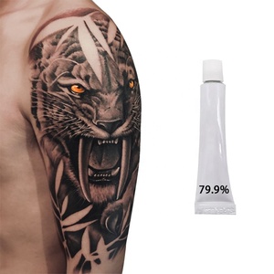 ครีมสีสักคุณภาพสูงปรับแต่งได้ 30 มล. 50 มล. สารช่วยเพิ่มสีสักสำหรับการสักถาวร 79.9% ครีมผงสีสัก - Product Image 5