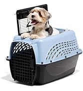 Cage de transport pour chien et chat en plastique avec porte en fil métallique, design aéré, fermeture à loquet durable, poignée supérieure, forme rectangulaire