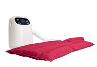 ZY-VHB PET, Máquina de Terapia de Aire Caliente Automática, Sistema de Purificación de Aire por Plasma, Control de Temperatura, Producto Más Vendido
