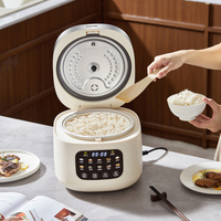 Cuisinière à riz multifonctionnelle pour la maison, à faible teneur en sucre, avec chambre à vapeur à faible teneur en sucre, en acier inoxydable 304 de qualité alimentaire