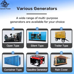Générateur d'<span class=keywords><strong>électricité</strong></span> monophasé 50/100 kW Cogeneration Chaleur-<span class=keywords><strong>Électricité</strong></span> (CHP) à gaz de biomasse et gaz de bois, 400/230V 50/60Hz, démarrage CC - Product Image 6