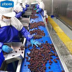 Nouvelle récolte de mûres surgelées IQF BRC HACCP - Mûres entières surgelées de qualité A en gros pour l'industrie de la confiture et du jus - Product Image 5