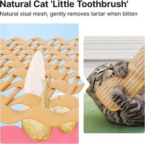 Giocattoli per Gatti con Erba <span class=keywords><strong>Gatta</strong></span> Biologica, Materiale Morbido in Sisal, Giochi Interattivi per Gattini, Divertenti e Stimolanti per Gatti Noi - Product Image 5