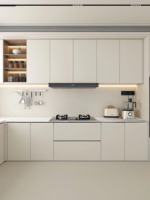 Ensemble complet d'armoires de cuisine moderne de luxe Meubles de rangement personnalisés Conception d'armoire d'îlot de garde-manger Importé en vente