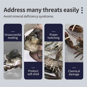 Complément Minéral Hui <span class=keywords><strong>Qing</strong></span> Yuan pour Crevettes et Crabes : Accélérateur de Moulage, Renforce l'Immunité, Anti-stress – Qualité Aquaculture - Product Image 2