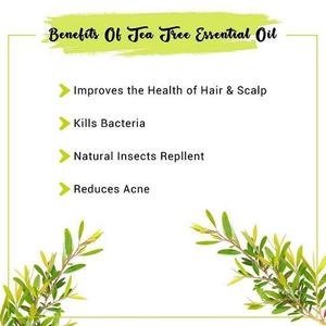 Aceite de hoja de Melaleuca Alternifolia (árbol de té) Natural puro 100% al por mayor de grado premium para la piel y el cabello, precio a granel, aceite de árbol de té - Product Image 4