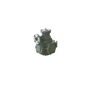 Durable Iron Cast LPG Flowmeter for LPG Dispenser