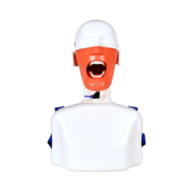 Maniquí de entrenamiento dental con torso y hombros/Simulador para sillón dental, cabeza de fantasma, modelo de paciente articulado de resina y metal