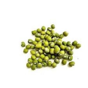 Haricots Verts Entiers (Moong Beans) Nettoyés à la Machine, Qualité Export Inde, Fournisseur en Gros, Qualité Alimentaire Saine, Marque SD, Emballage en Fût - Product Image 1