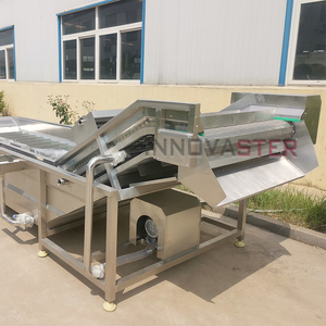 Trái cây rau máy móc chế biến táo rử<span class=keywords><strong>a</strong></span> khô tẩy lông phân loại máy - Product Image 2