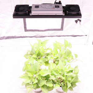 Luces LED de cultivo YXO SF1000 SF2000 SF4000, interruptor UV IR, disponible en almacén <span class=keywords><strong>ER</strong></span> BR PL BR - Product Image 5