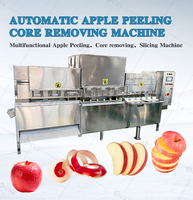 Industriële sinaasappelschilmachine, fruitenschilmachines, ananas- en appelenschilmachine