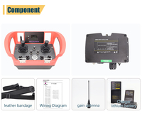 Télécommande radio pour grue, étanche IP65, double joystick universel, écran 1,8 pouces, 2 batteries au lithium 5000 mAh pour grue à portique