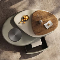 Muebles Modernos para Sala de Estar, Mesa de Centro, Juego de Mesa de Café de Lujo Nórdico, Mesa de Centro Simple e Irregular para el Hogar