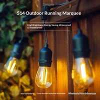 Parasol décoratif d'extérieur pour patio, guirlande lumineuse S14 Globe, IP65, étanche, lumières d'ambiance pour jardin, camping