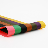 Ruban en nylon coloré sur mesure de 2 à 5 cm pour accessoires de couture, sangle de sac, collier de chien, ceinture de sac à dos