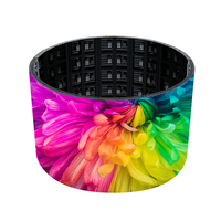 Pantalla LED Flexible de Servicio Frontal de 7680Hz, Económica, IP65, Alto Brillo, Curva, para Conciertos