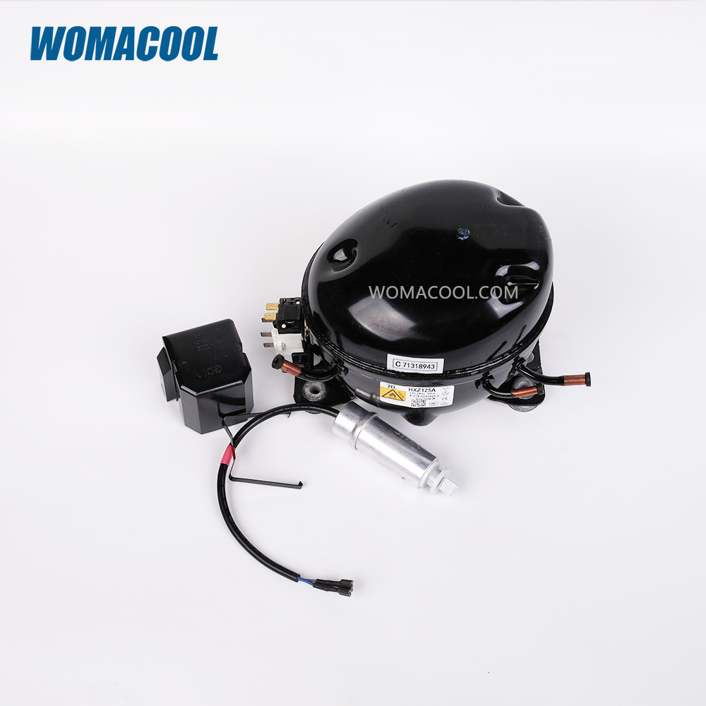 Zanussi ZEL HXZ125A 220-240V R600A 1/6HP Refrigerator Compressor