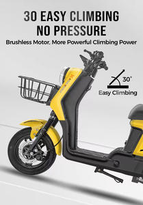 Vélo électrique R9, source d'usine, vélo électrique, scooter, cyclomoteur, moto, 500W, 800W, 1000W, 1200W, vélo électrique R9 - Product Image 5