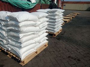 Additivo Ritardante di Fiamma CAS 1332-07-6, Borato di Zinco ZB 45.0%-48.0% - Product Image 2