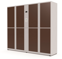 Armoires extérieures en métal pour salle de sport Casier à téléphone Casier de rangement intelligent pour vêtements