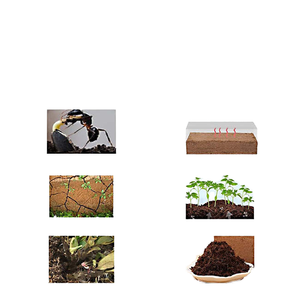 Bloc de Fibres de Coco Bio Premium 650g Lot de 8 Faible Équilibrage EC/pH Écologique pour Fournitures de Jardinage - Product Image 1