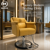 Nouvelle Chaise de Barbier Commerciale Spéciale, pour Teinture et Permanente, en Acier Inoxydable, avec Fonction Pivotante et Relevable, Design Moderne, Marque Mason