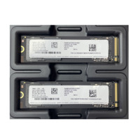 MZVL81T0HELB-00B07 für 1TB PCIe Gen4 *4 DRAM-freie OEM Client-SSD mit bis zu 5000 MB/s Lesegeschwindigkeit/4000 MB/s Schreibgeschwindigkeit