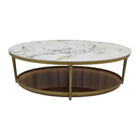 Table basse ovale en marbre avec base en acier inoxydable doré et étagère de rangement