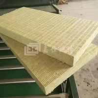 Panneau d'isolation thermique de toit de résistance au feu de classe certifié CE 70kg/m3 Panneaux sandwich industriels de conception moderne laine de roche