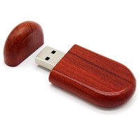Bâtons USB en bois de forme ovale 2.0 1G 2G 4G 8G cadeau Usb 3.0 clés USB mémoires clés USB