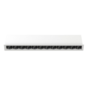 4Tech LED Linear Pixel Light 12 Têtes Fixes Dimmables Multispots Angle de Faisceau 24/36° 27/30/4000K IRC 80/90/95 20W Downlights - Product Image 1