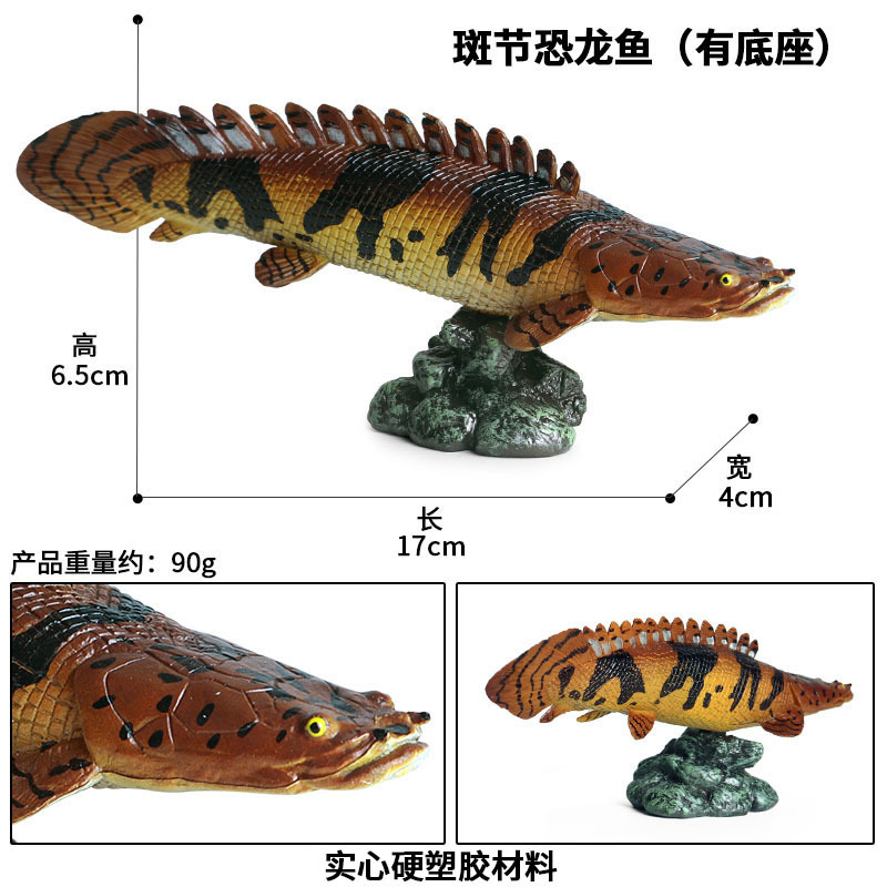 M-1207 Bichir rayé (avec socle)