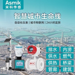 Medidor de Flujo Electromagnético Asmik con Instalación de Brida, Sensor de Flujo de Líquido de Acero Inoxidable para Líquidos Conductivos - Product Image 4