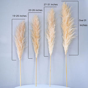 Décor à la maison chaud herbe en pot plante dense moelleux plume chien queue grand roseau pampa herbe - Product Image 5