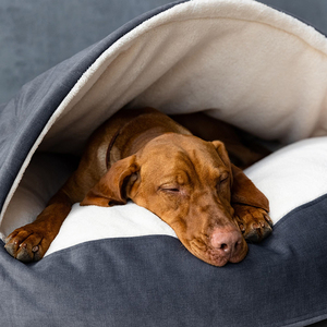 Camas para Perros Ultra Cómodas con Funda Lavable, Funda Extraíble de Algodón Abstracto Lavable, Accesorios para Camas de Mascotas para Interiores y Exteriores - Product Image 2