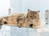 Hamac suspendu pour chat de haute qualité, robuste, sans cordon, pliable, avec coussin pour fenêtre