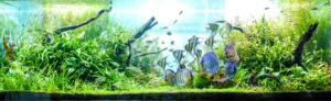 3D Vis Tank Sticker <span class=keywords><strong>Aquarium</strong></span> Landschap Achtergrond Schilderij Dubbelzijdig Oceaan Zee Steen Planten Pvc <span class=keywords><strong>Aquarium</strong></span> Decoratie Sticker - Product Image 5