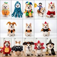 Costume de chien drôle transformable en dague pour anniversaire, Halloween, Noël - Vêtements pour animaux de compagnie en polyester, style Europe et Amérique, petits chiens