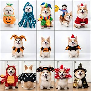 Divertido <span class=keywords><strong>Disfraz</strong></span> <span class=keywords><strong>de</strong></span> Perro Transformable en Daga para Cumpleaños, Halloween, Navidad - Ropa para Mascotas <span class=keywords><strong>de</strong></span> Poliéster, Estilo Europeo y Americano, Perros Pequeños - Product Image 1