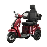 Pas de taxe anti-dumping sur le tricycle électrique adulte à 3 roues, nouvelle édition certifiée EEC COC, tricycle, trike, scooter électrique